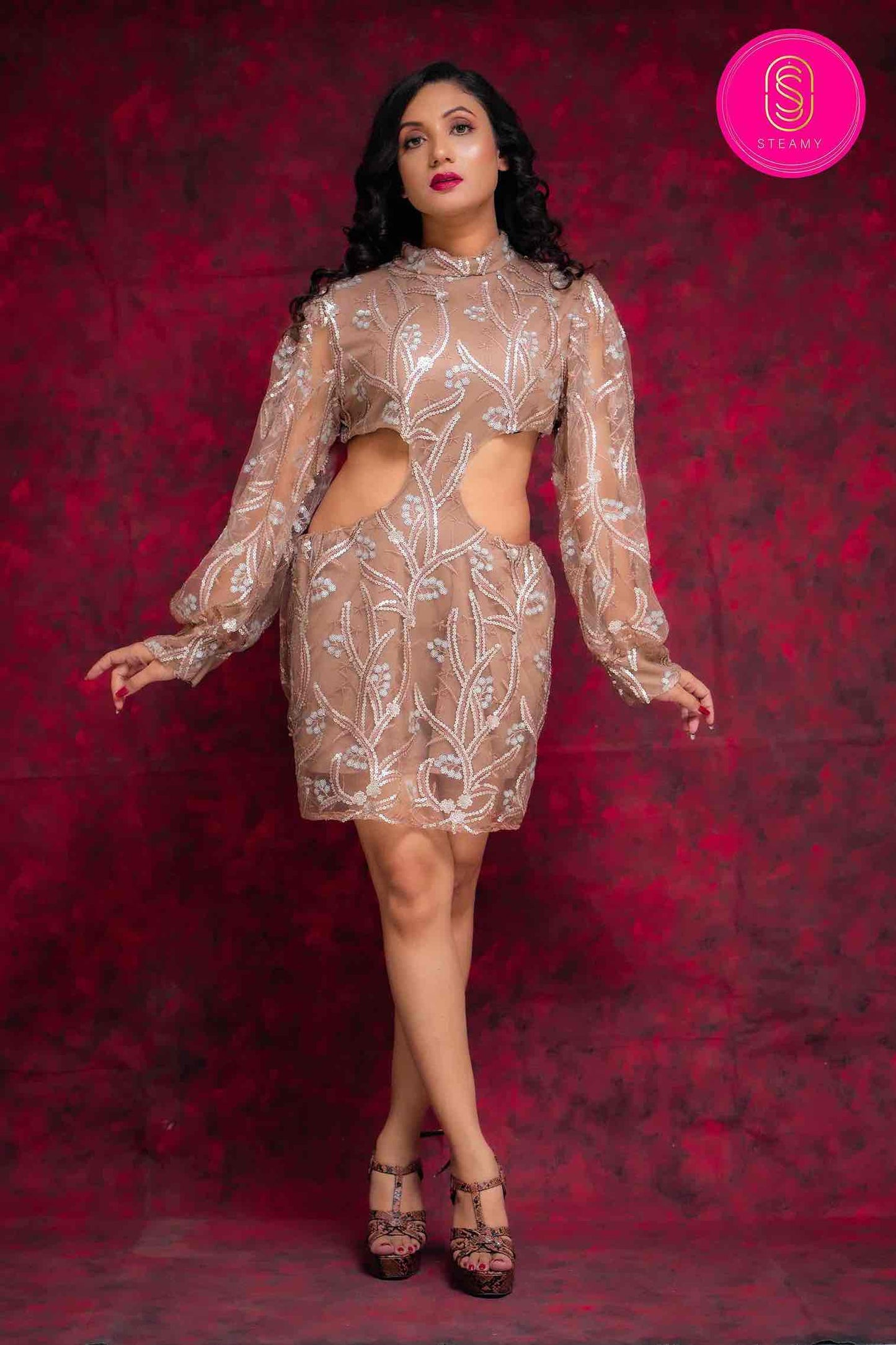 Embroidery Dress