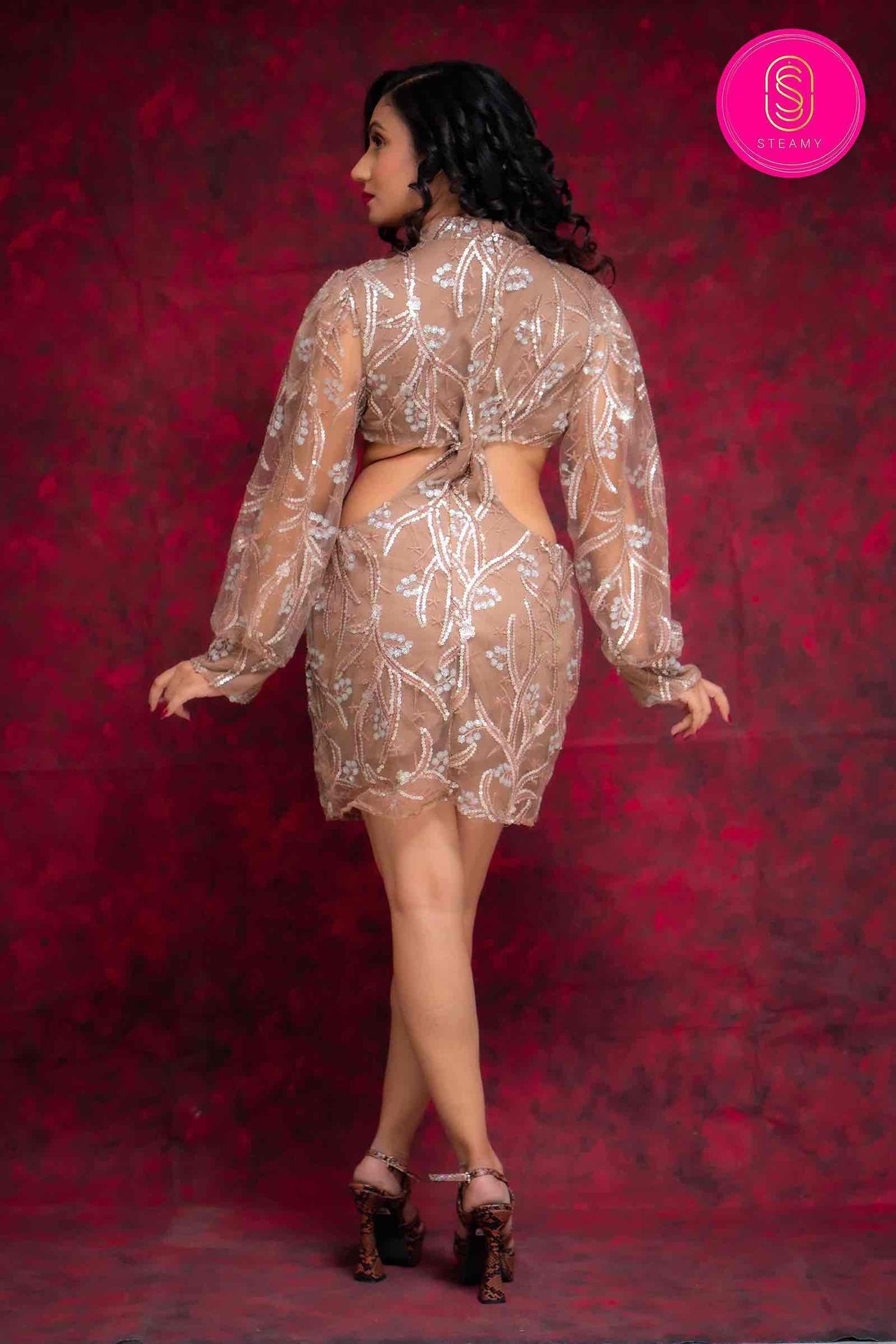 Embroidery Dress