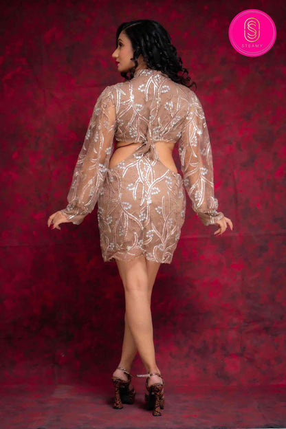 Embroidery Dress