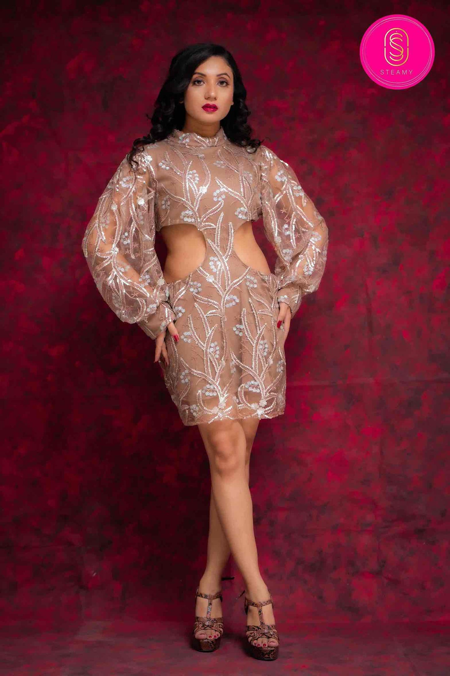 Embroidery Dress